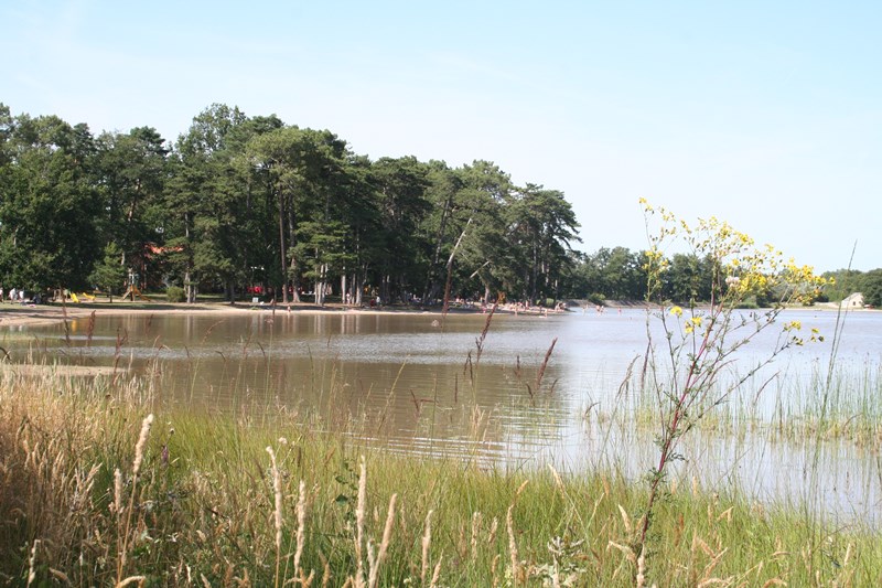 Site naturel de l'étang de Bellebouche, Mézières-en-Brenne - photo 3
