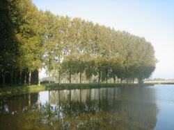 Etang communal d'Adon, Adon