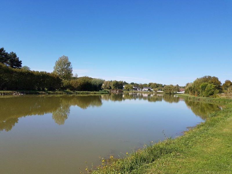 Pêche à l'étang du Prieuré — photo 2