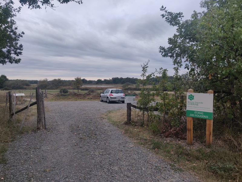 Observatoire de l'étang des Fougères (Réserve naturelle de Chérine), Lingé