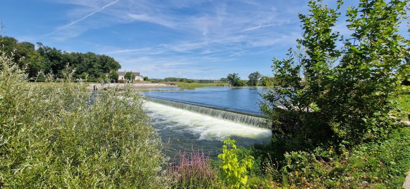 Jour de Cher 2026 - Visite éclair des bords du Cher à Bléré — visuel événement