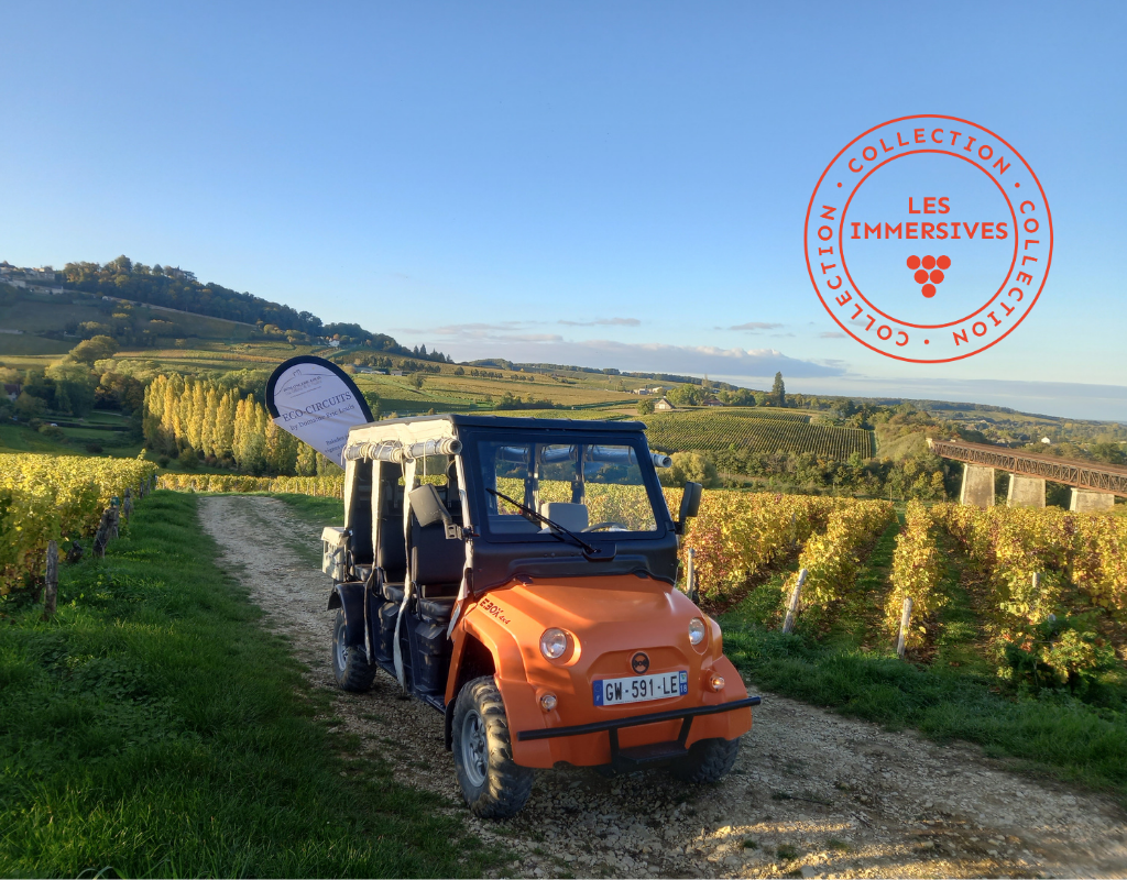 [Vignobles en Scène!]: Eco-circuit des terroirs de Sancerre
