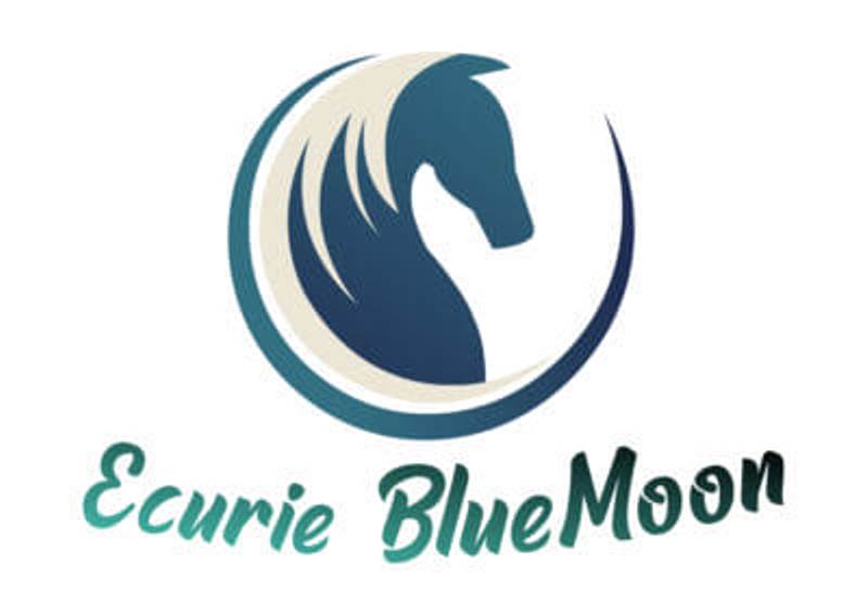 Les écuries BlueMoon, Le Magny - photo 3