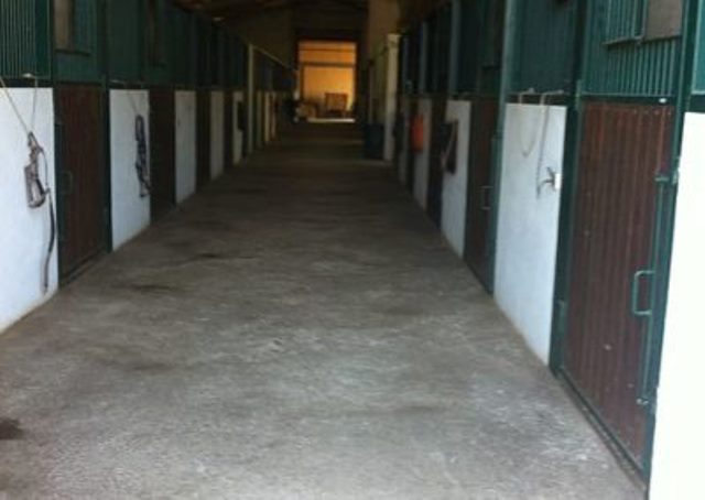 Les écuries BlueMoon, Le Magny - photo 2