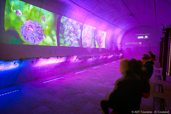 Château et Jardins du Rivau, Lémeré - photo 8
