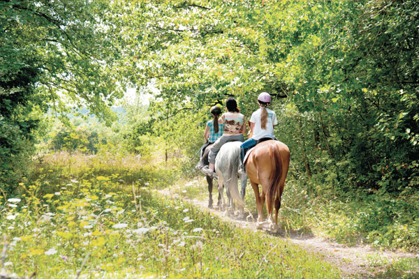 La Bergauderie - Horse riding Centre
