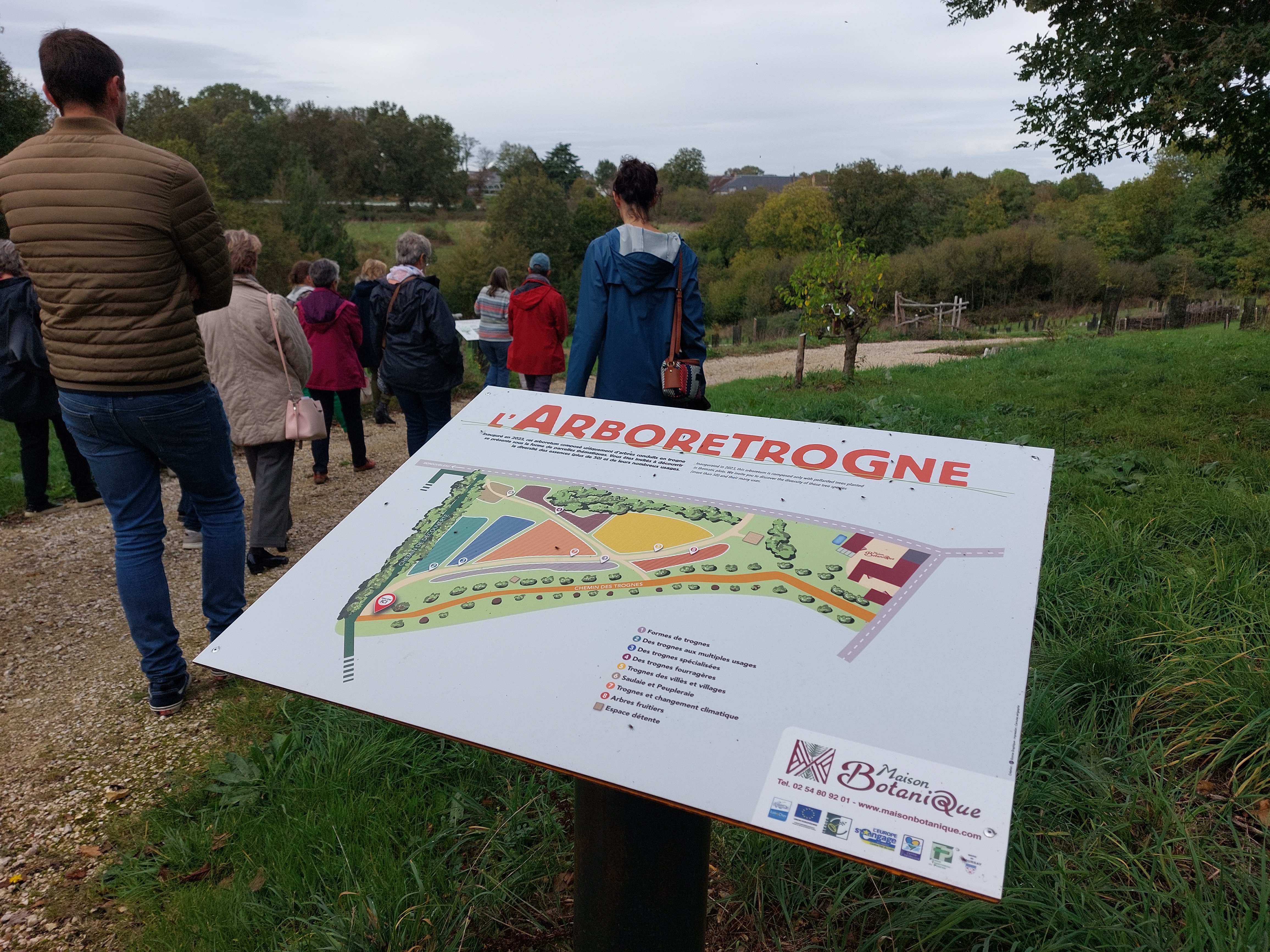Taille d’été et suivi sur les arbres de l’Arboretrogne à Boursay