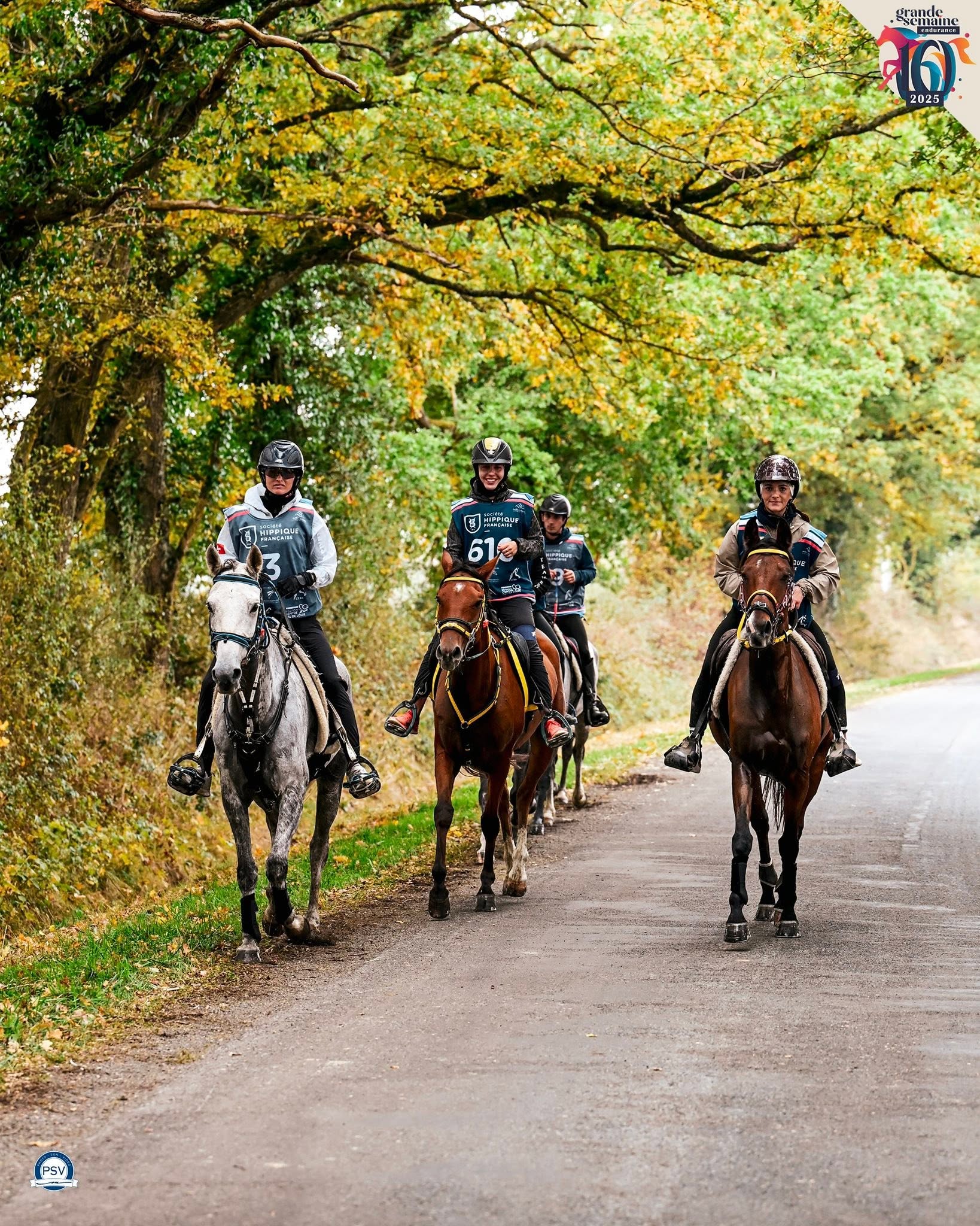 Finale nationale jeunes chevaux d’endurance