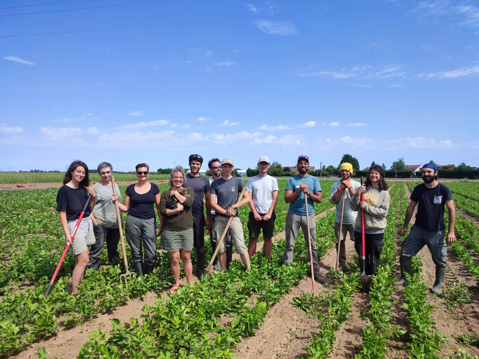 Aux légumes Célestes - photo 5