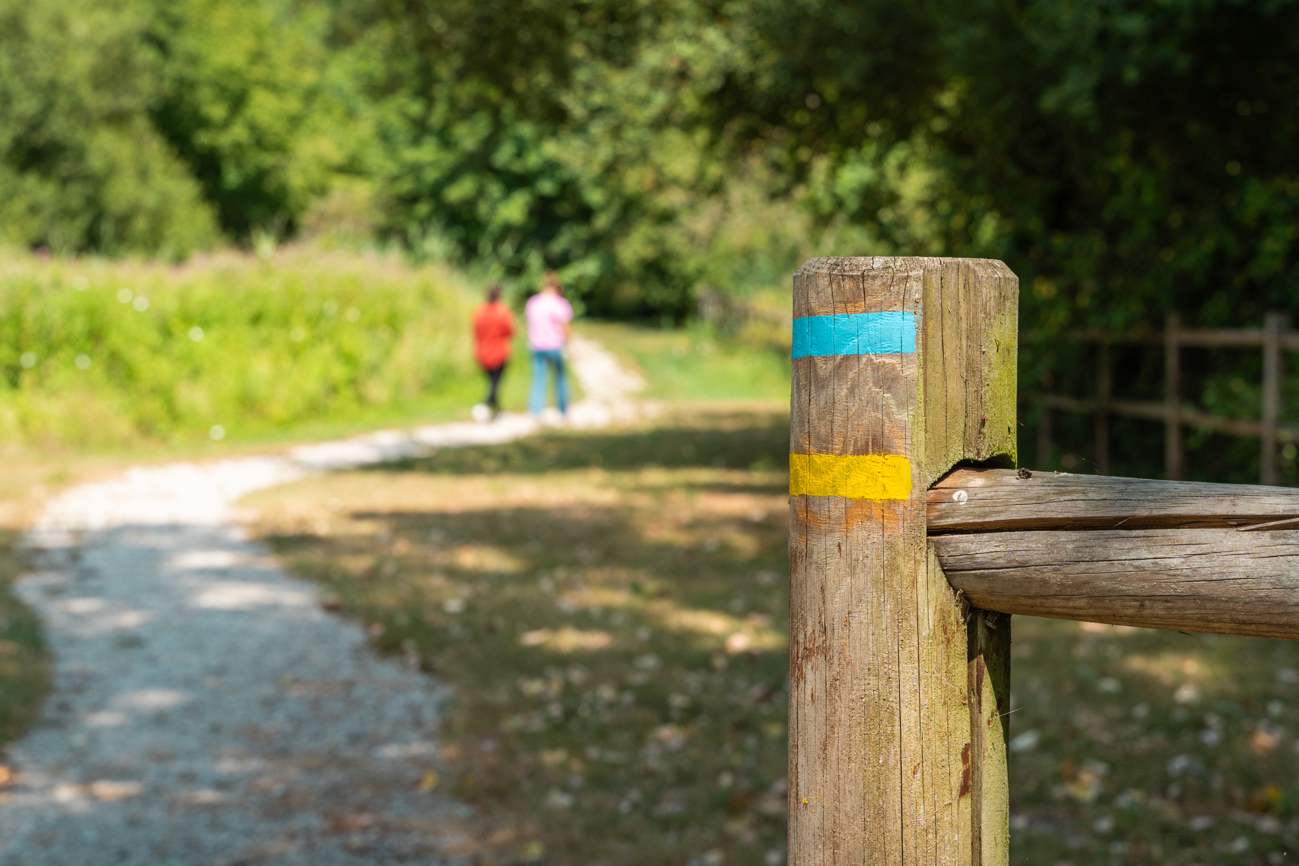 Espace Naturel de Vienne