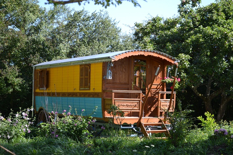 Séminaires insolites à l'Ecolodge