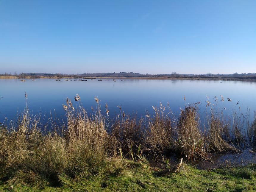 Balade à pied n°60 - La balade de l'étang du Couvent, Saint-Michel-en-Brenne - photo 3