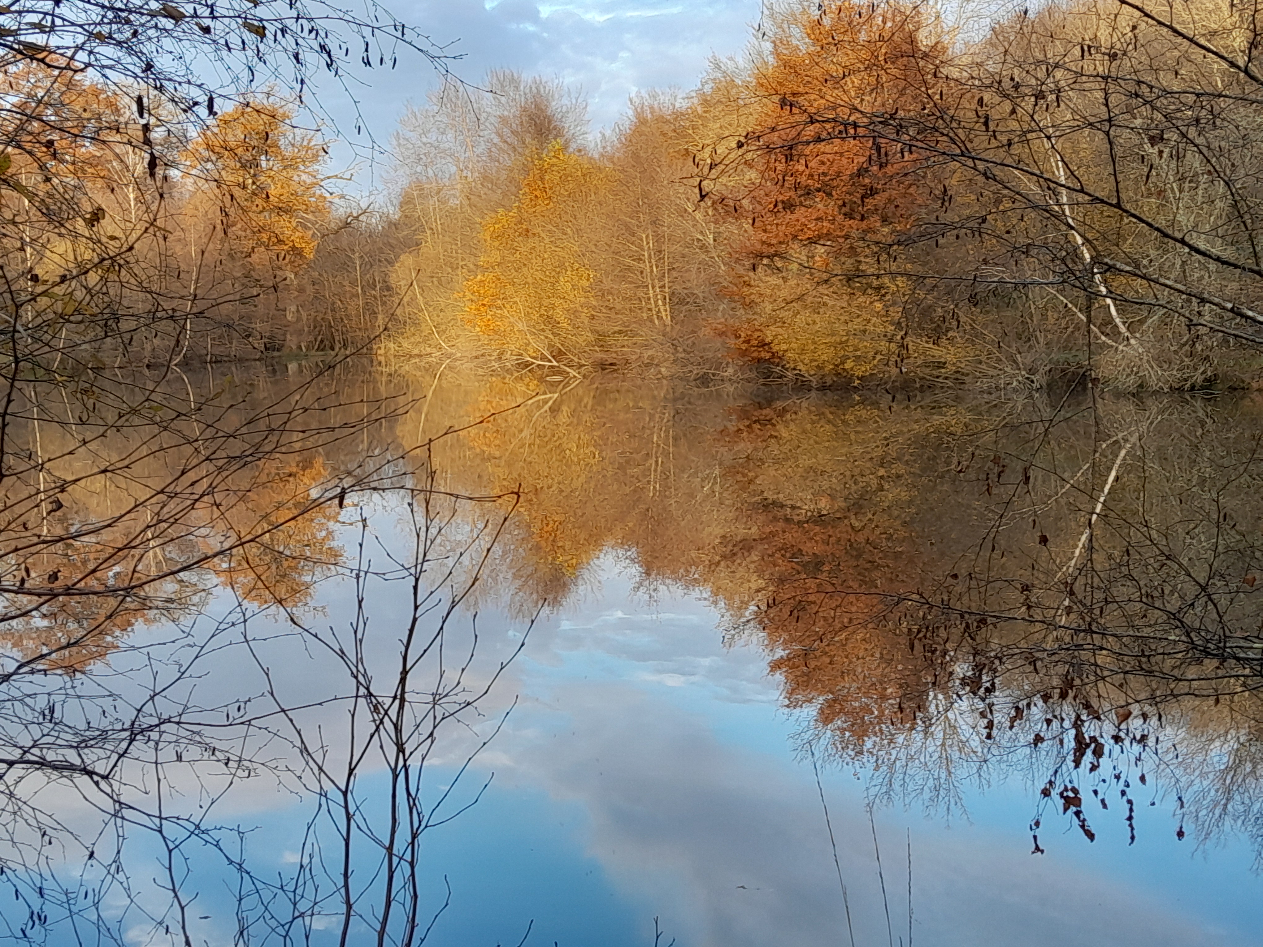 Château Chandler, Brinon-sur-Sauldre - photo 18