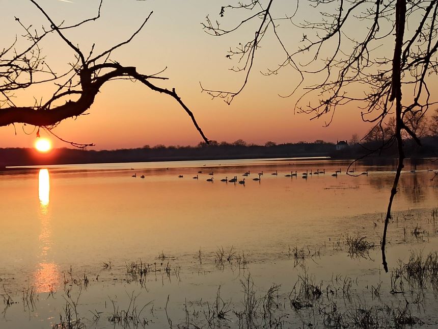 Balade à pied n°60 - La balade de l'étang du Couvent
