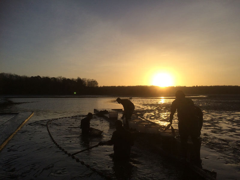 Réserve de chasse et de faune sauvage de Malzoné, Millançay - photo 3