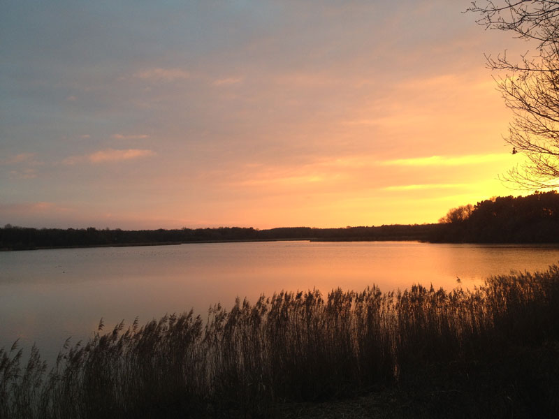Réserve de chasse et de faune sauvage de Malzoné, Millançay
