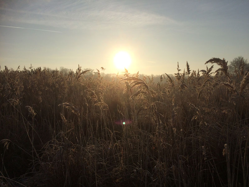 Réserve de chasse et de faune sauvage de Malzoné, Millançay - photo 2