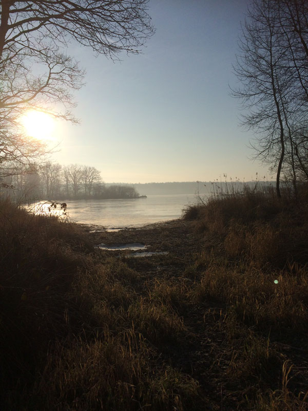 Réserve de chasse et de faune sauvage de Malzoné, Millançay - photo 7
