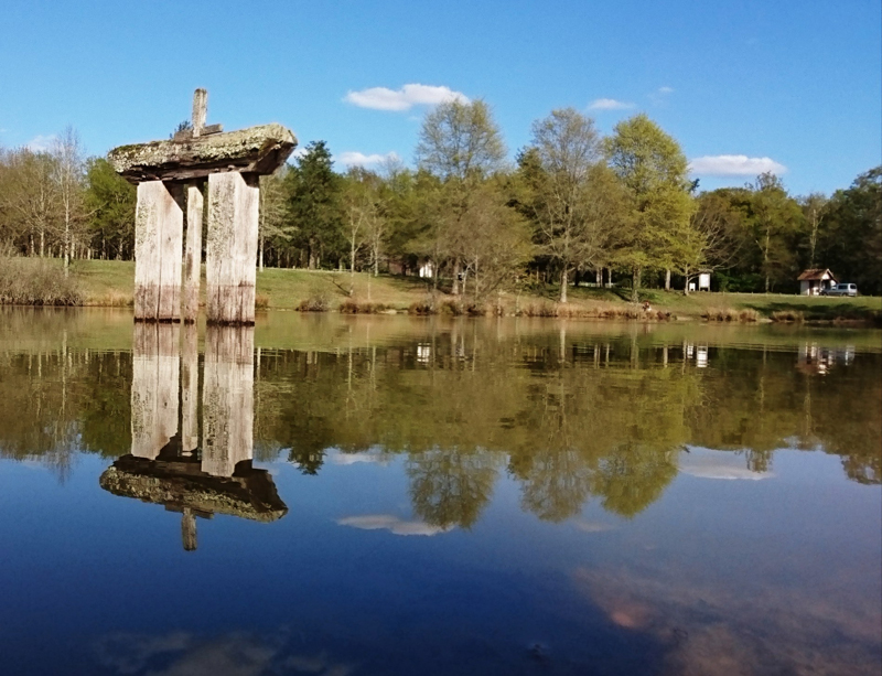 Les étangs de Sologne (circuit libre)