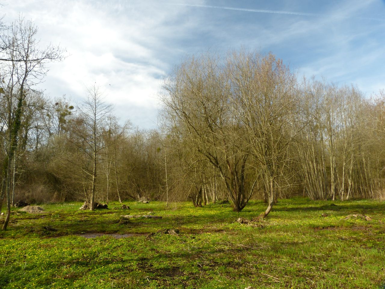 L'Etang de l'Isle, Senonches - photo 2