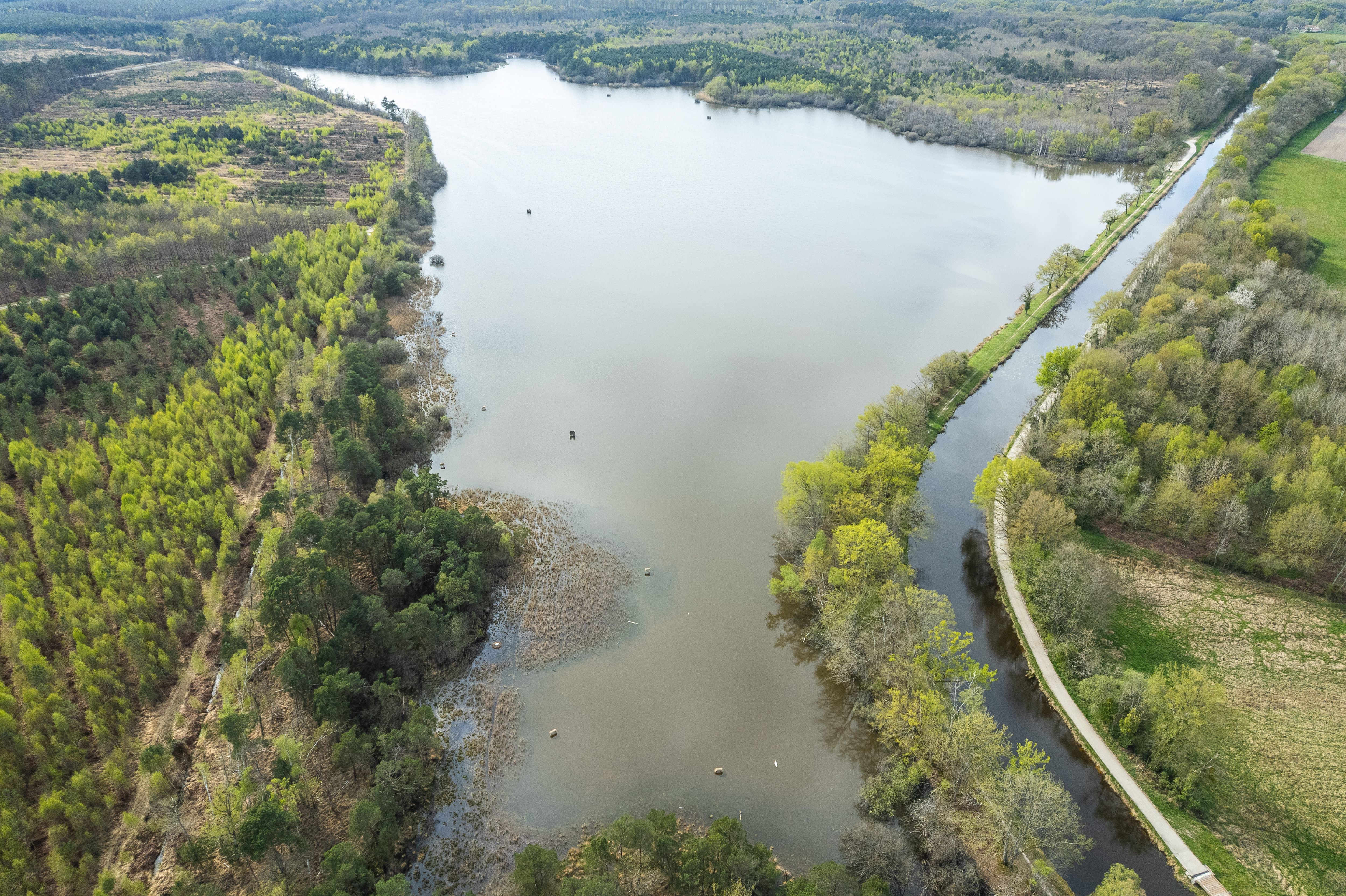 Espace naturel sensible de l'étang de la Noue Mazone, Châtenoy - photo 3