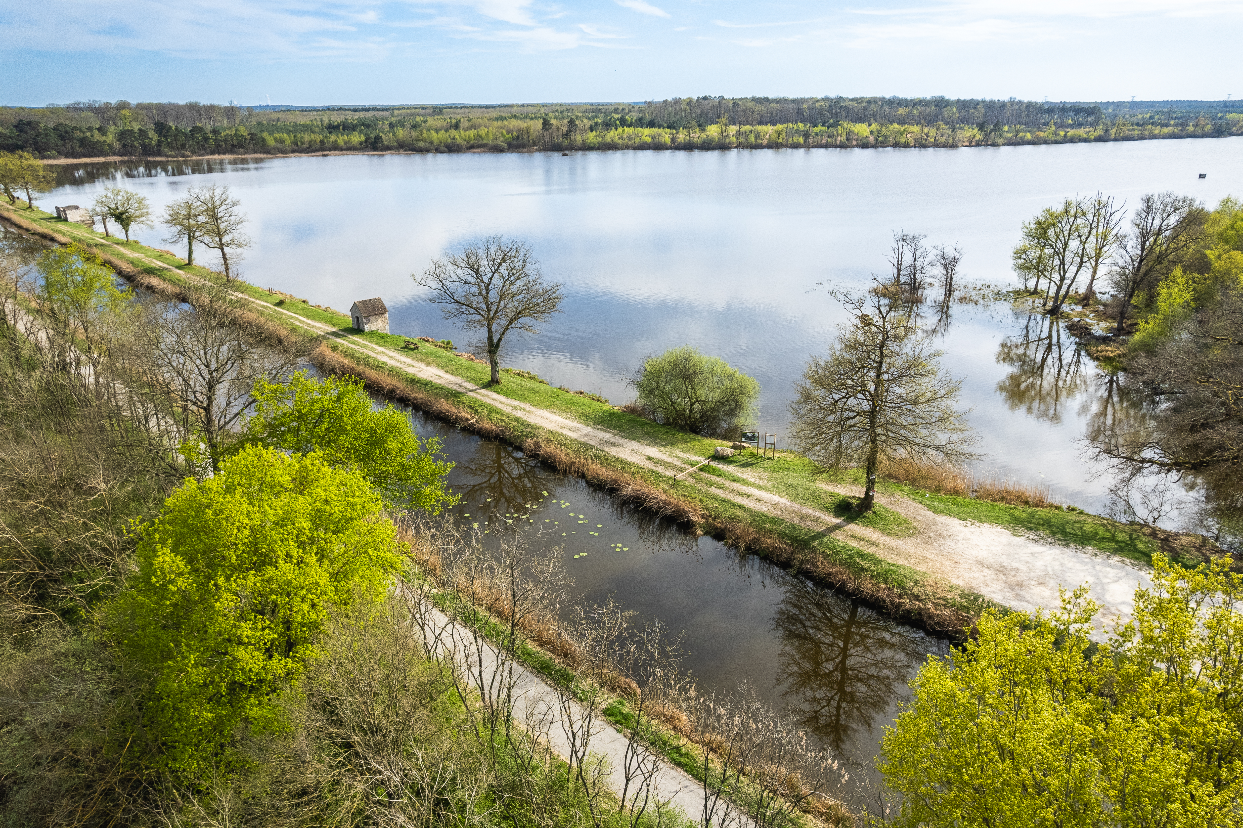Espace naturel sensible de l'étang de la Noue Mazone