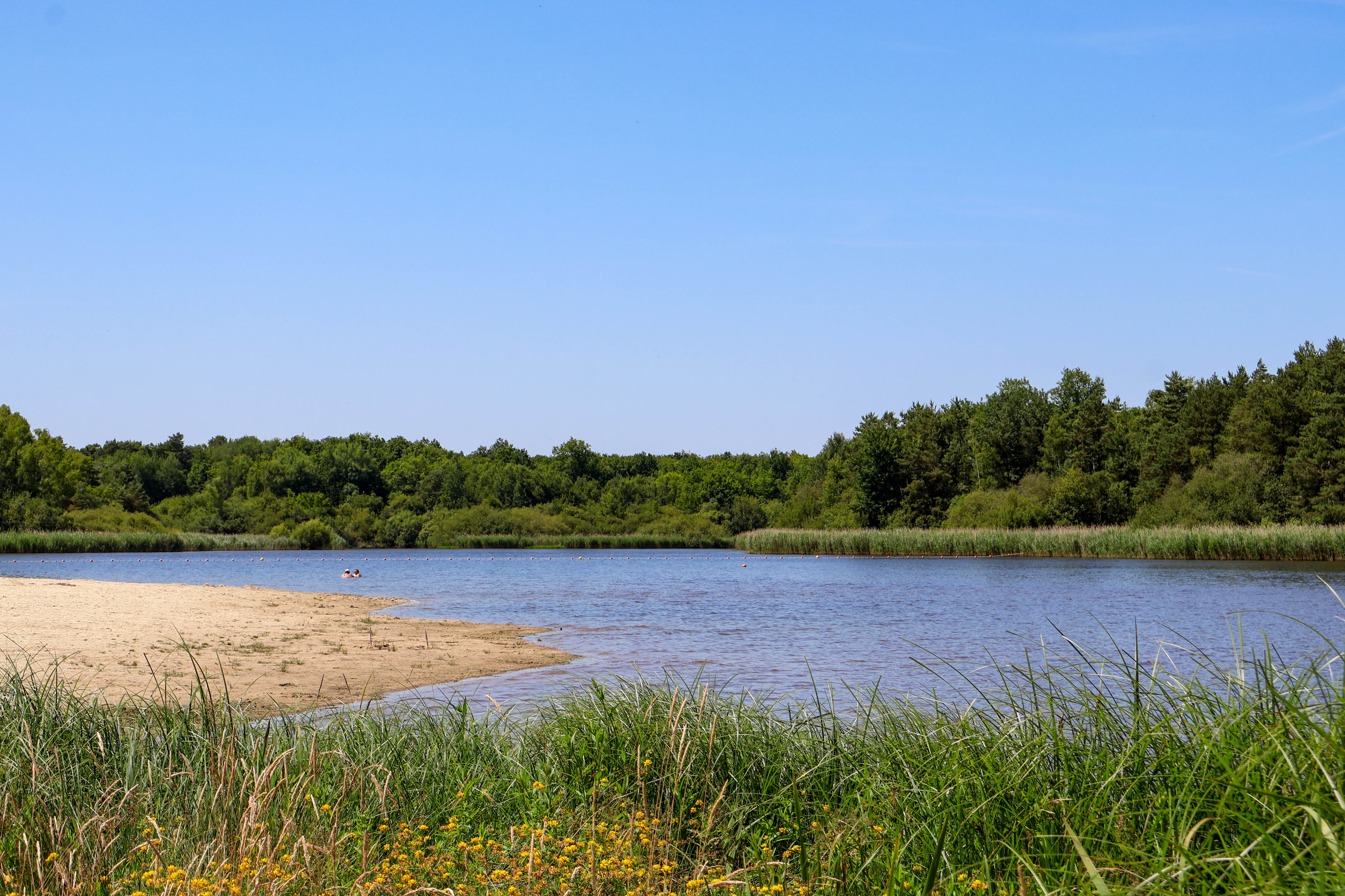 Canal et Brin d'Amour, Sury-aux-Bois - photo 14