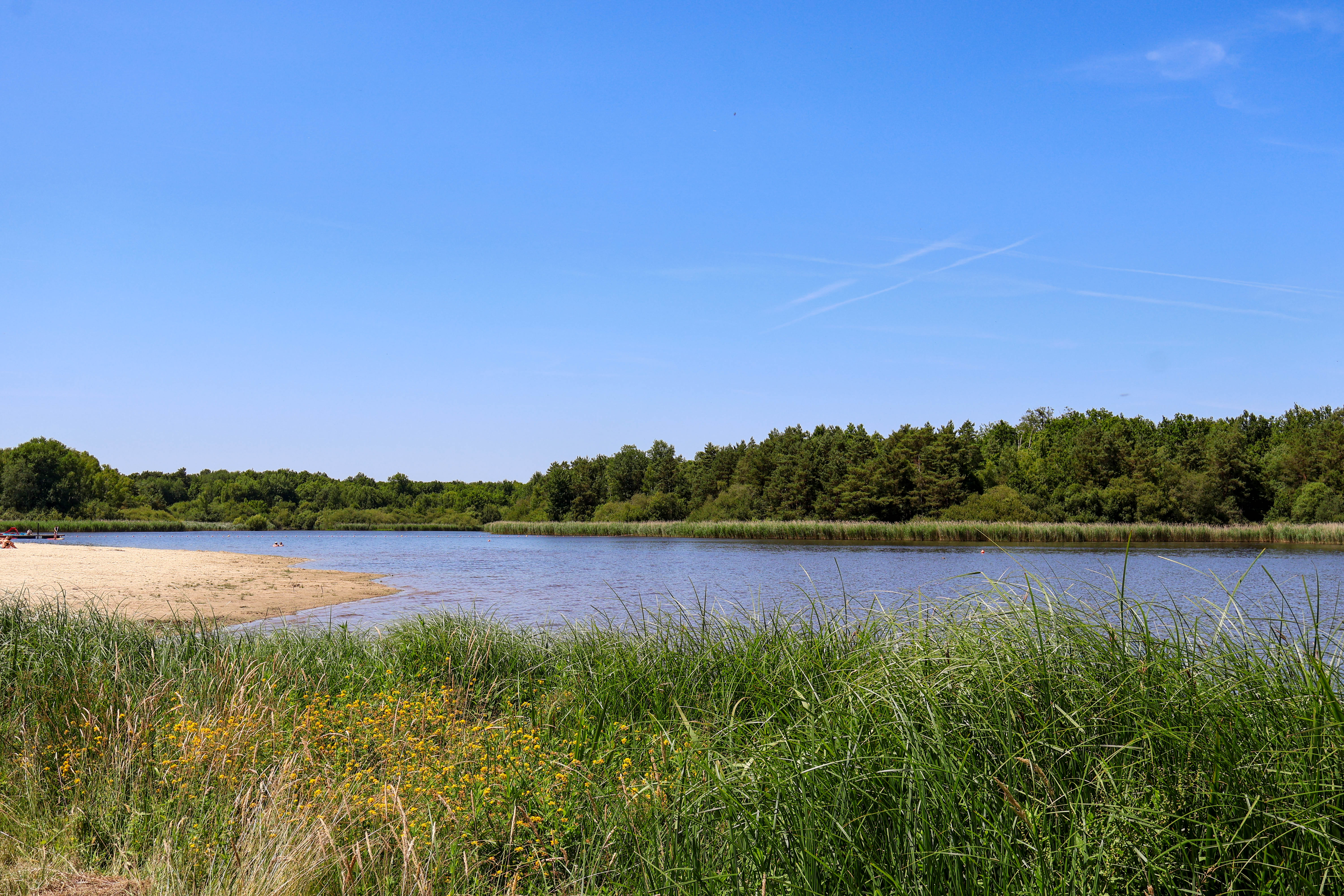 Boucle 08 - Aux portes de la plus grande forêt domaniale de France, Fay-aux-Loges - photo 2