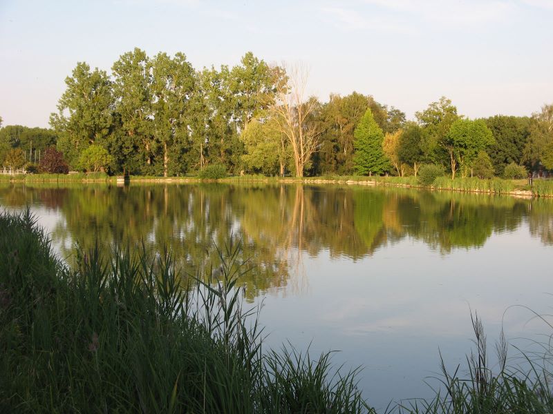 Camping des Buissons (aire naturelle), Pellevoisin - photo 2