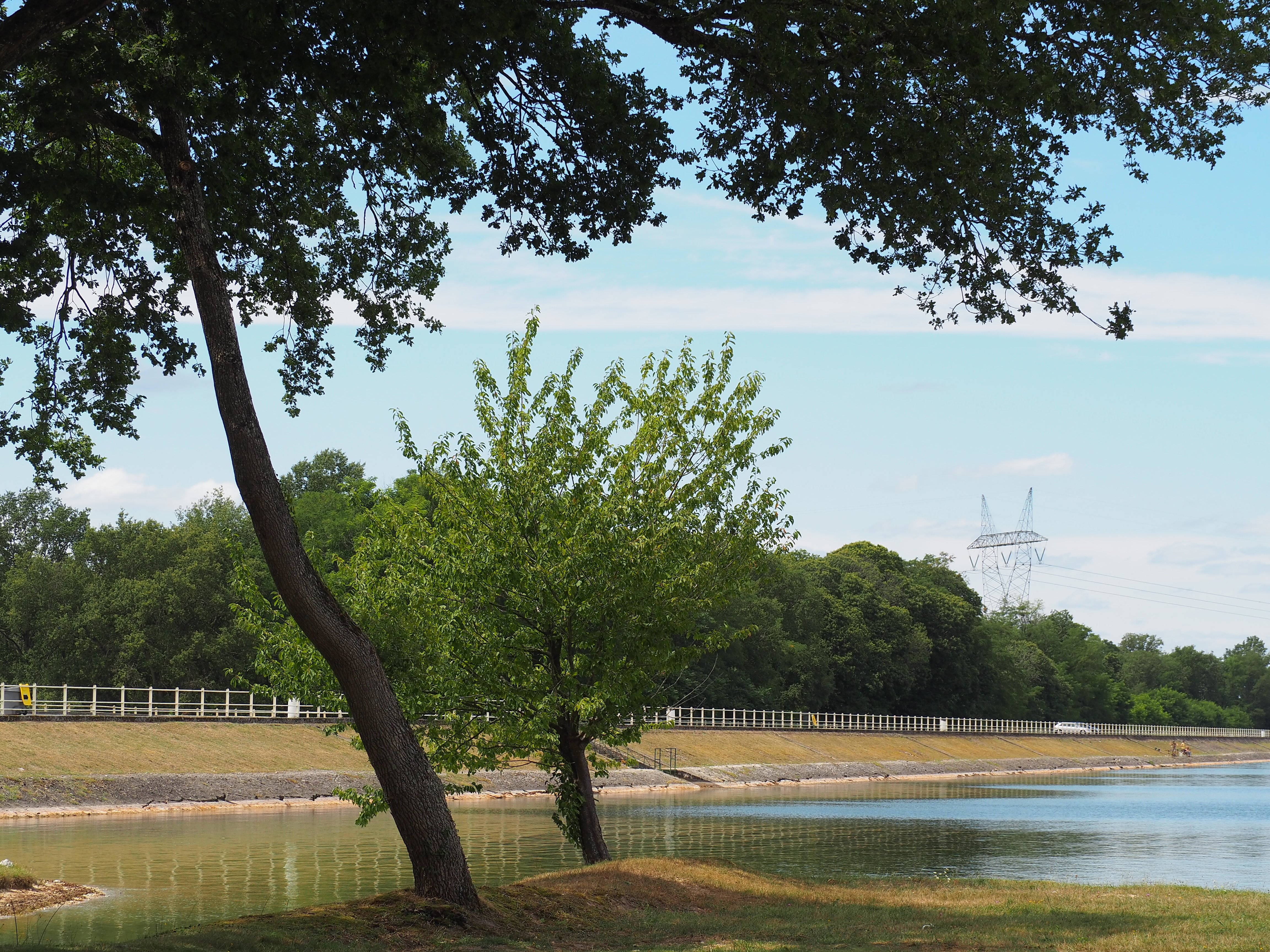 L'Etang du Puits, Argent-sur-Sauldre
