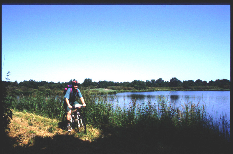 Circuit VTT - De la forêt de Lancosme aux étangs, Saint-Michel-en-Brenne - photo 5