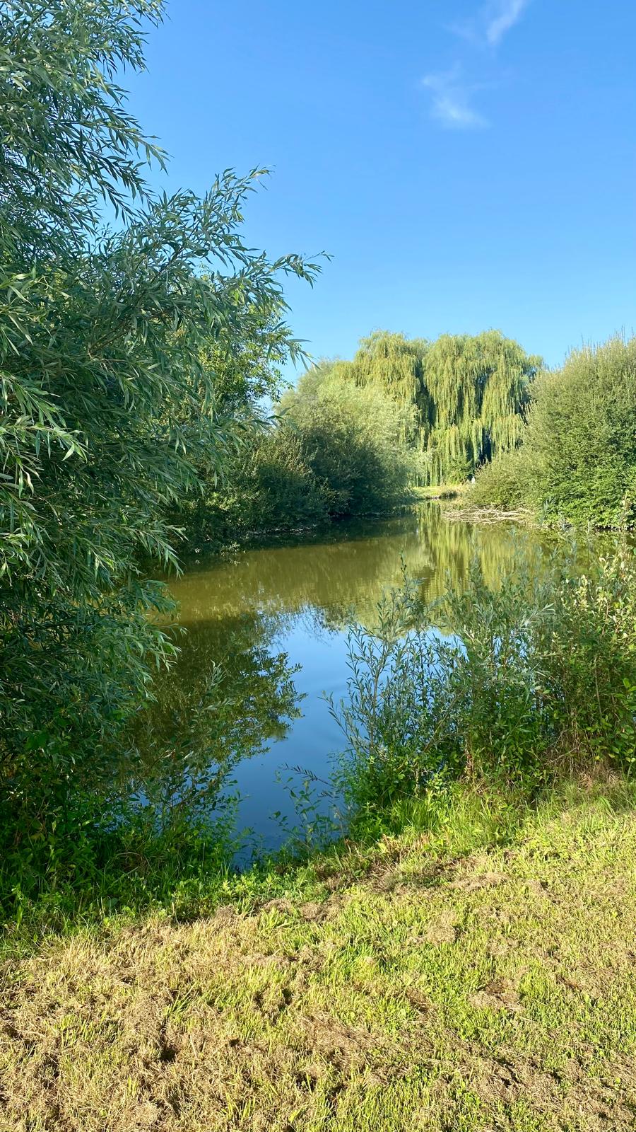 Plan d'eau des Orbidas