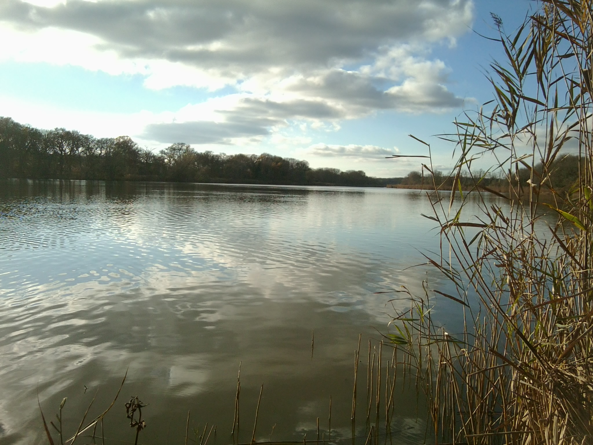 Les Cisterciens aux sources de l'industrie, La Guerche-sur-l'Aubois - photo 2