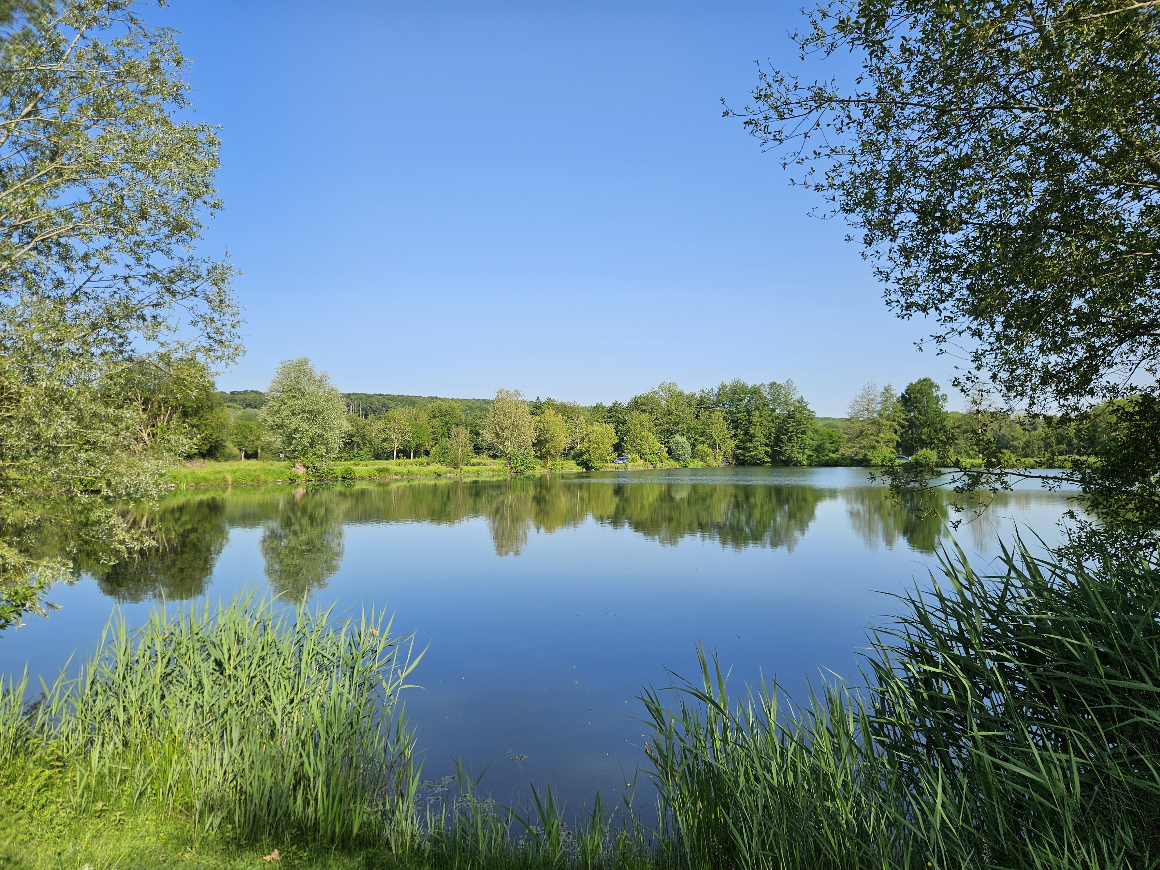 Plans d'eau de la Basse Plaine - Site de pêche labellisé Parcours Passion — photo 3
