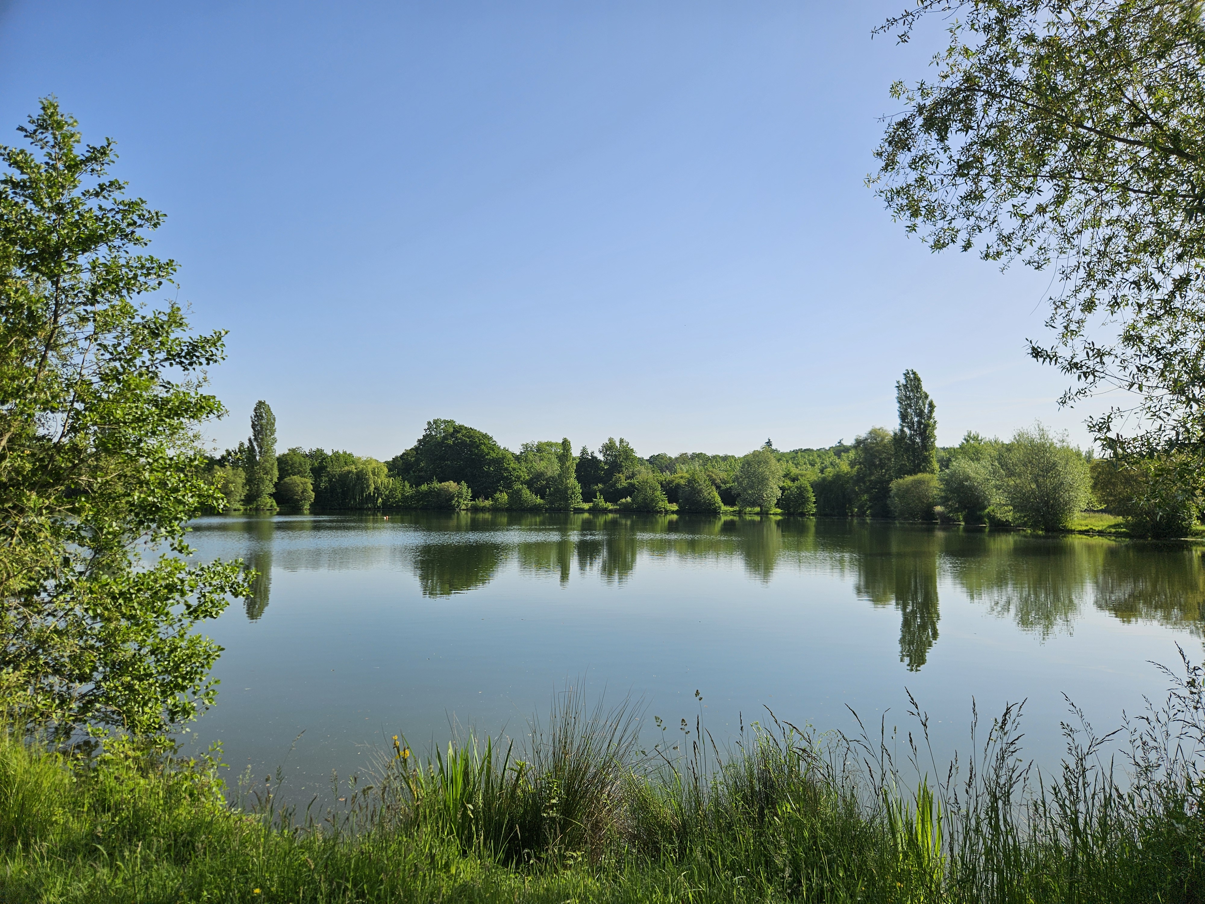 Plans d'eau de la Basse Plaine - Site de pêche labellisé Parcours Passion