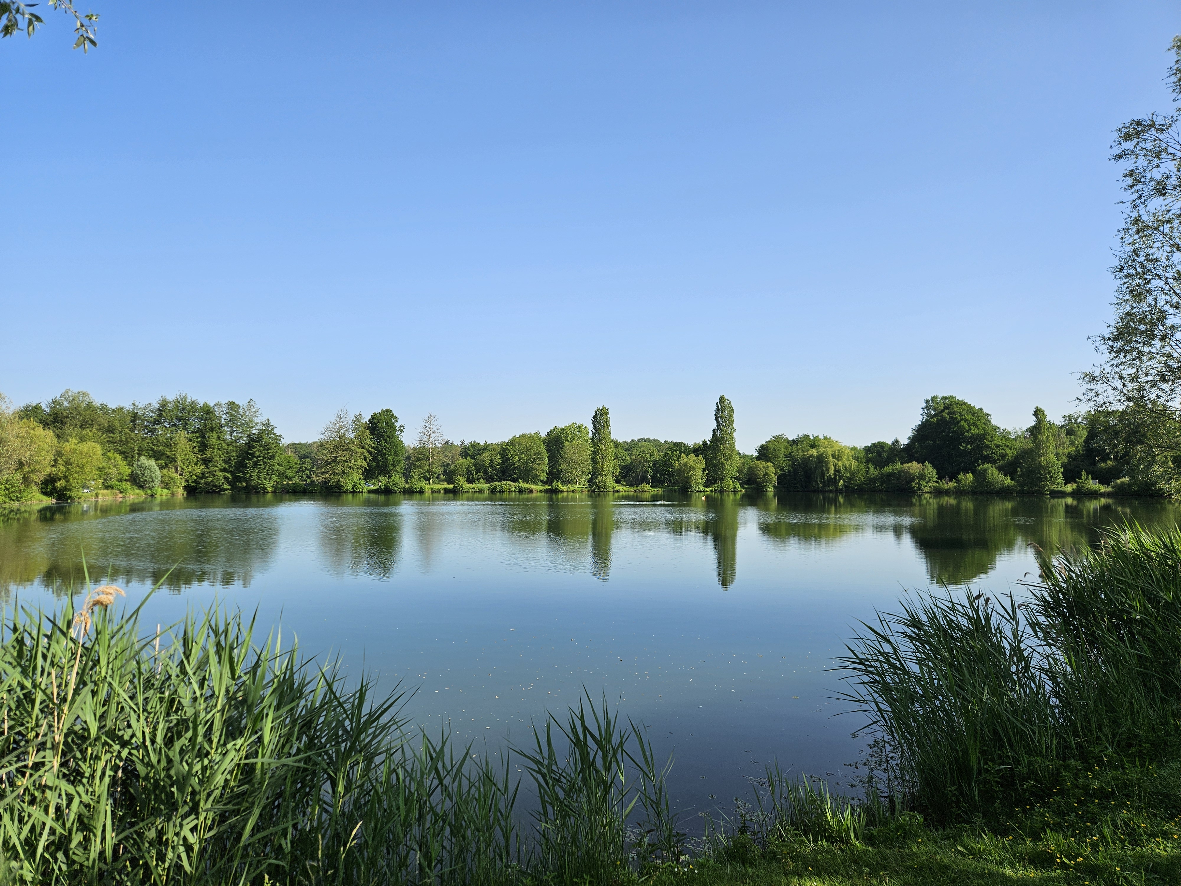 Plans d'eau de la Basse Plaine - Site de pêche labellisé Parcours Passion — photo 2