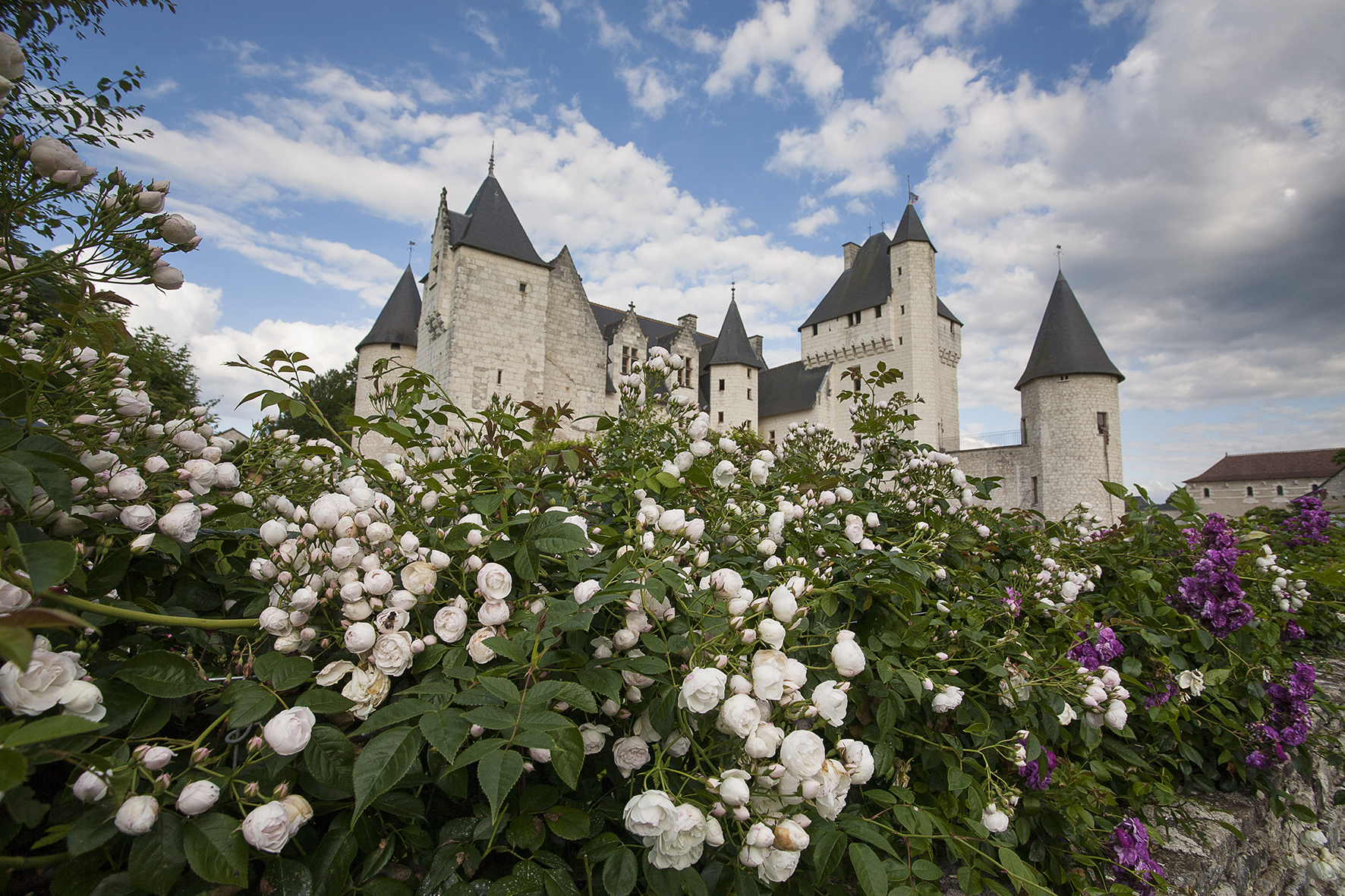 Fête des Roses, Lémeré - photo 5