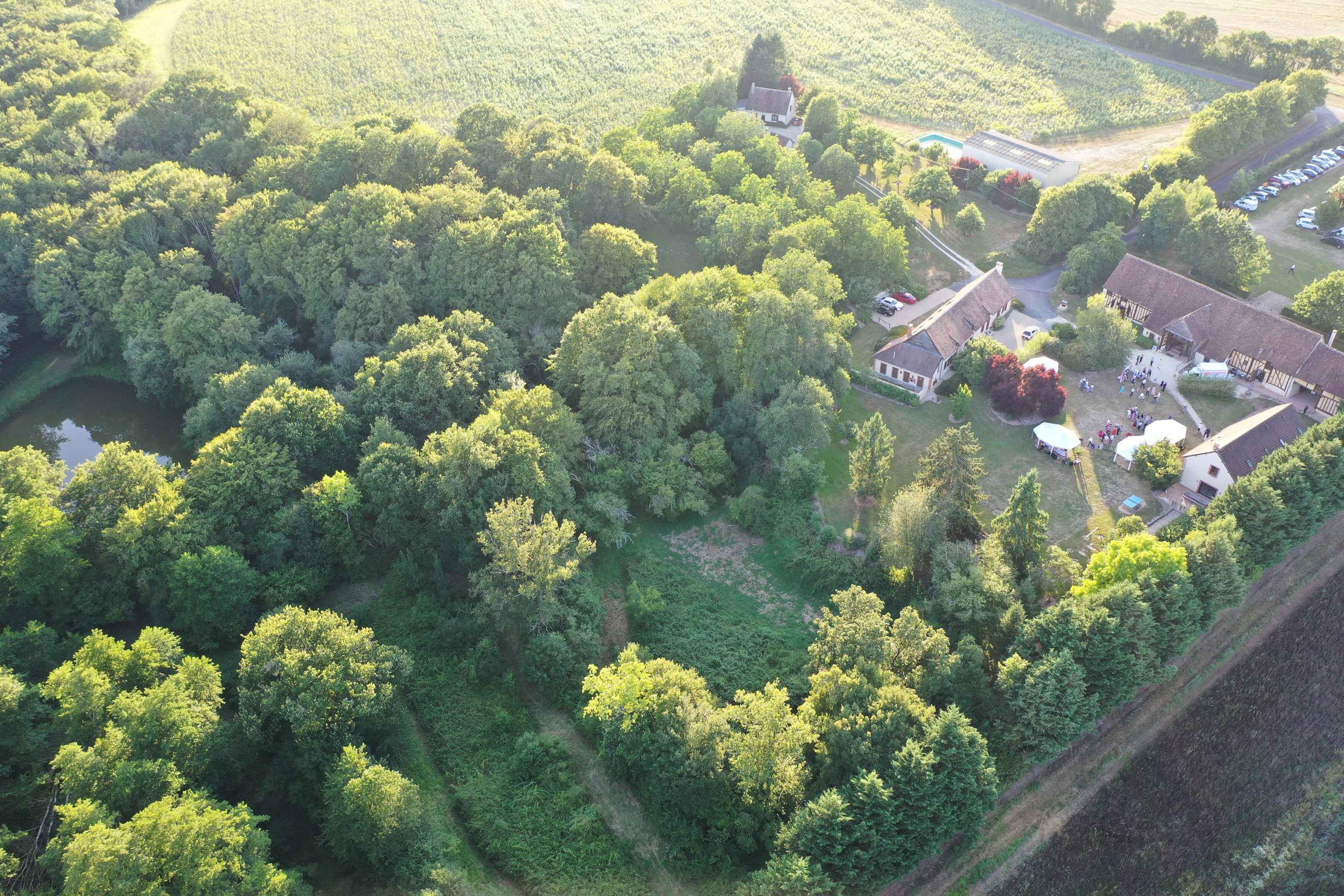 Les Lavandes, Ennordres - photo 16