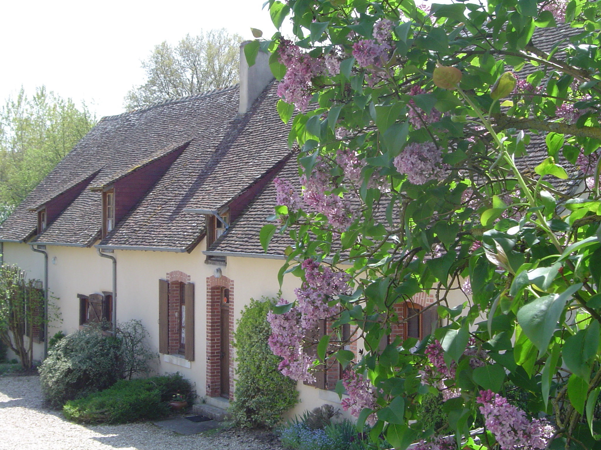 Les Hortensias, Ennordres - photo 3