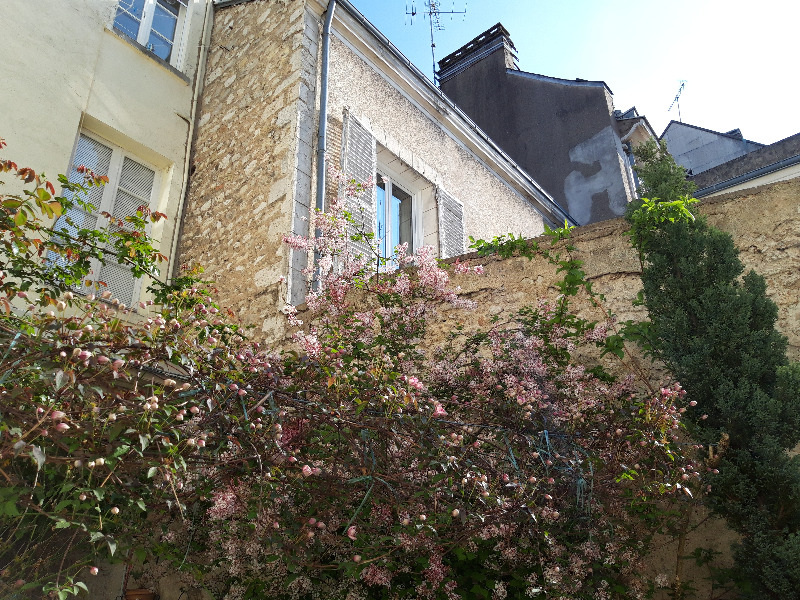 Séjourner rue de la Lionne