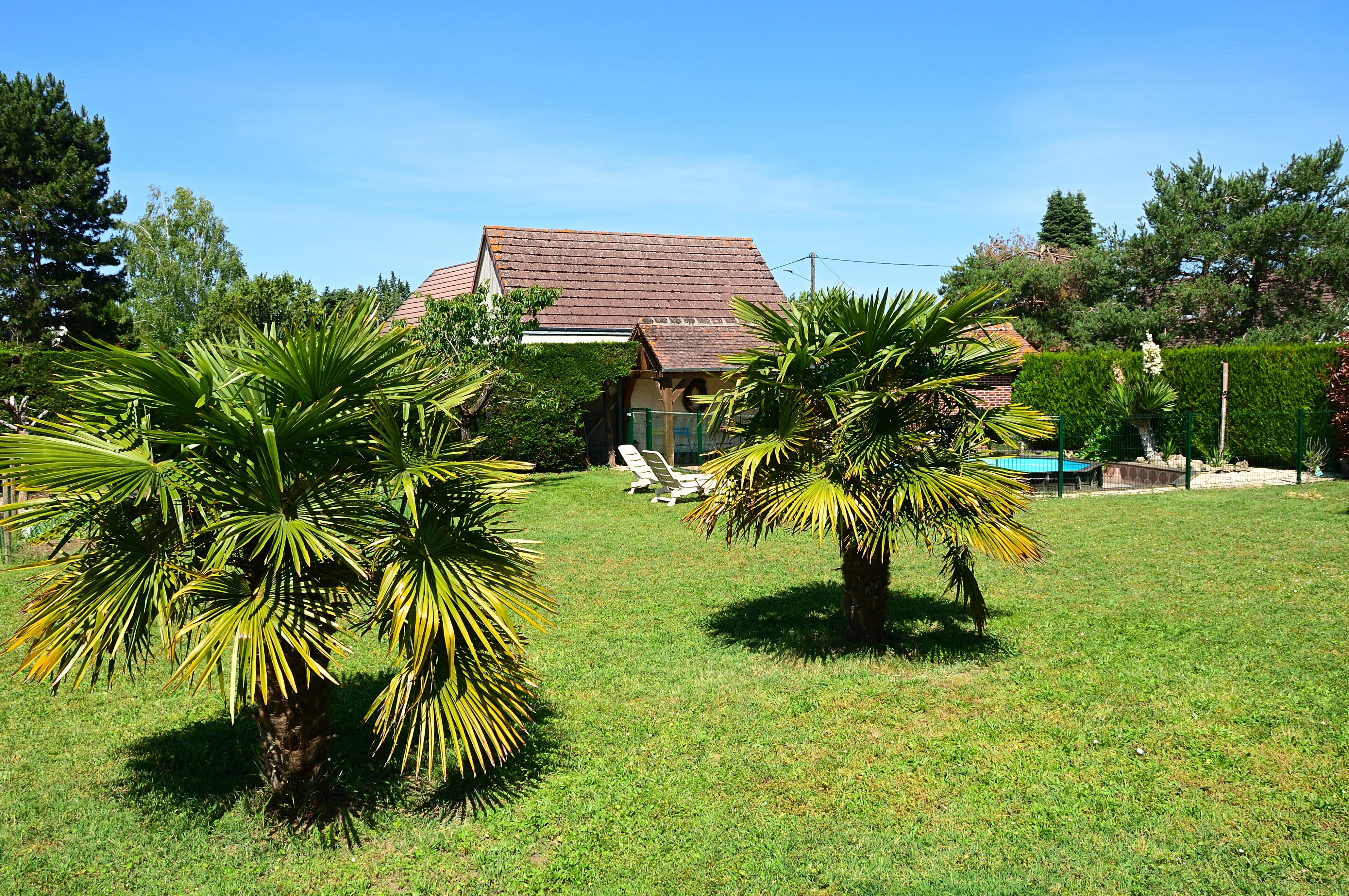 La Brochardière, Jargeau - photo 3