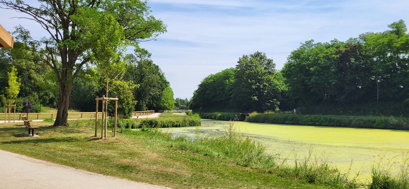 Aire de service du Canal d'Orléans au Tournement de Fay-aux-Loges, Fay-aux-Loges - photo 5
