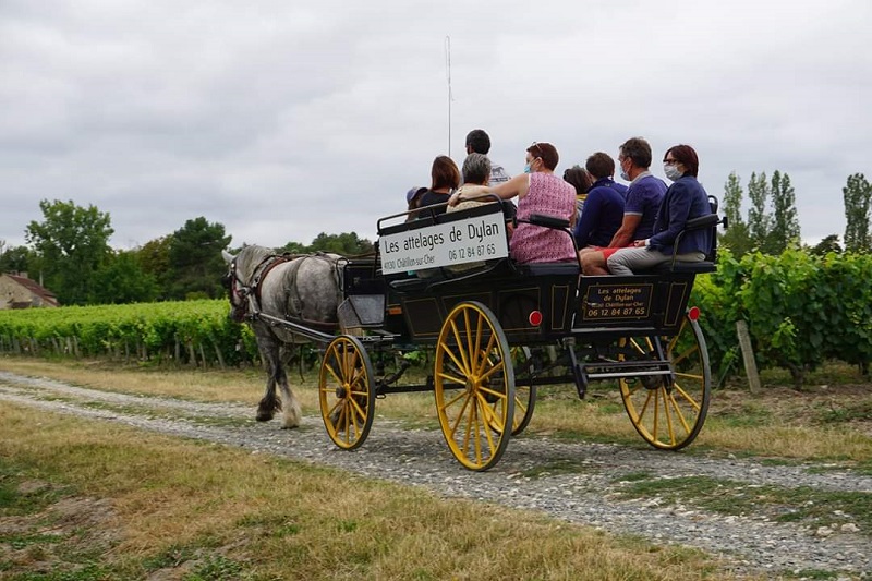 Les Attelages de Dylan