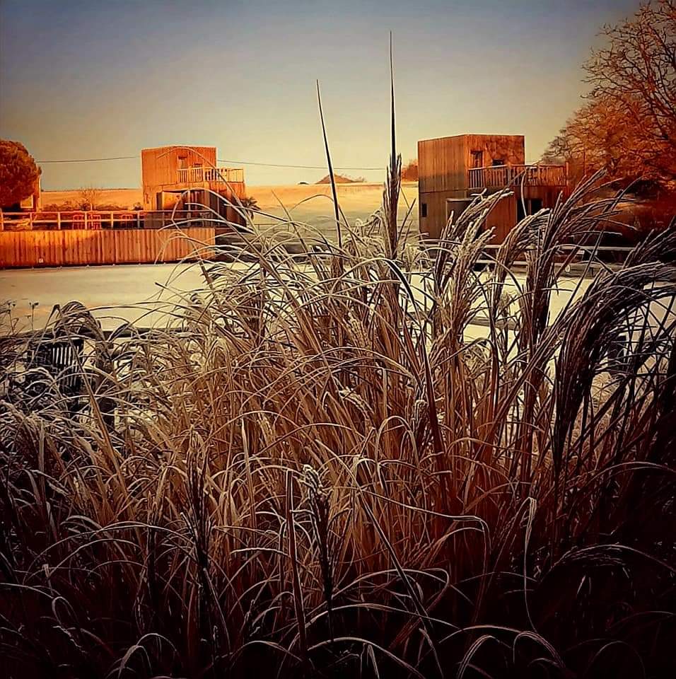 Le manège de la Chapinière N°1, Châteauvieux - photo 11