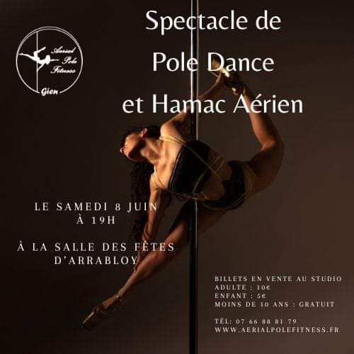 Spectacle de Pole Dance et Hamac Aérien null France null null null null