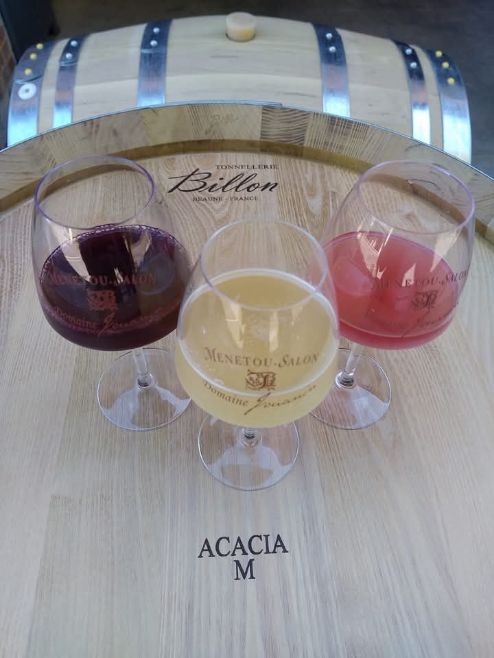 Domaine Jean-François Jouanin