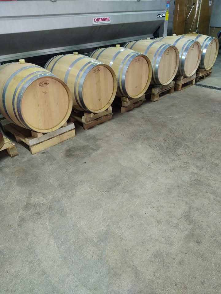 Domaine Jean-François Jouanin — photo 3