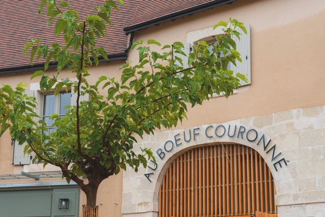 Au Boeuf Couronné, Mézières-en-Brenne - photo 5