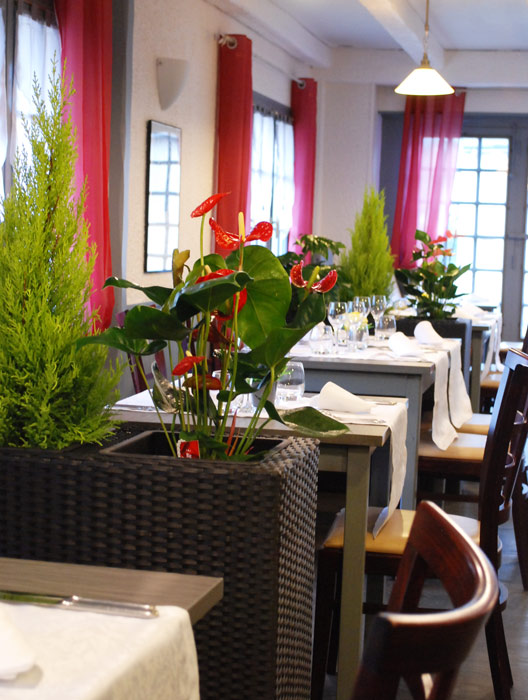 Fleur de Sel, Cercottes - photo 4