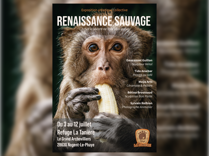 Exposition photographique collective "Renaissance sauvage"